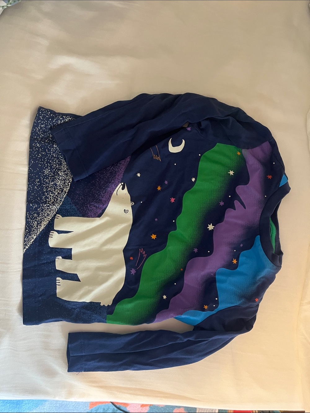 Northern lights polar bear shirt